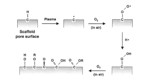 氧等離子體在與材料表面接觸時(shí)羥基化、羧基化的示意圖