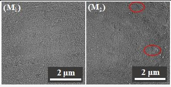  等離子體處理前后PVC的SEM圖像