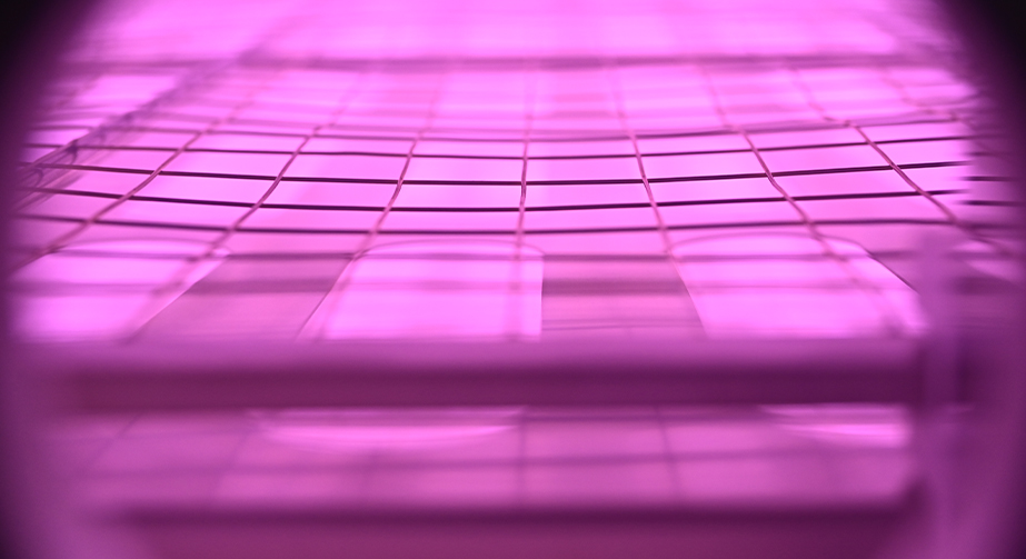 石墨烯等離子體處理提高分散性能